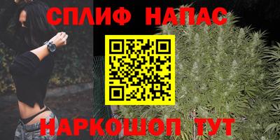 дмт Сланцы