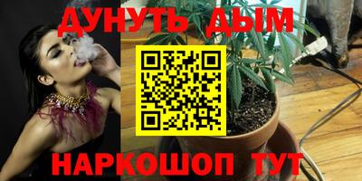 дмт Сланцы