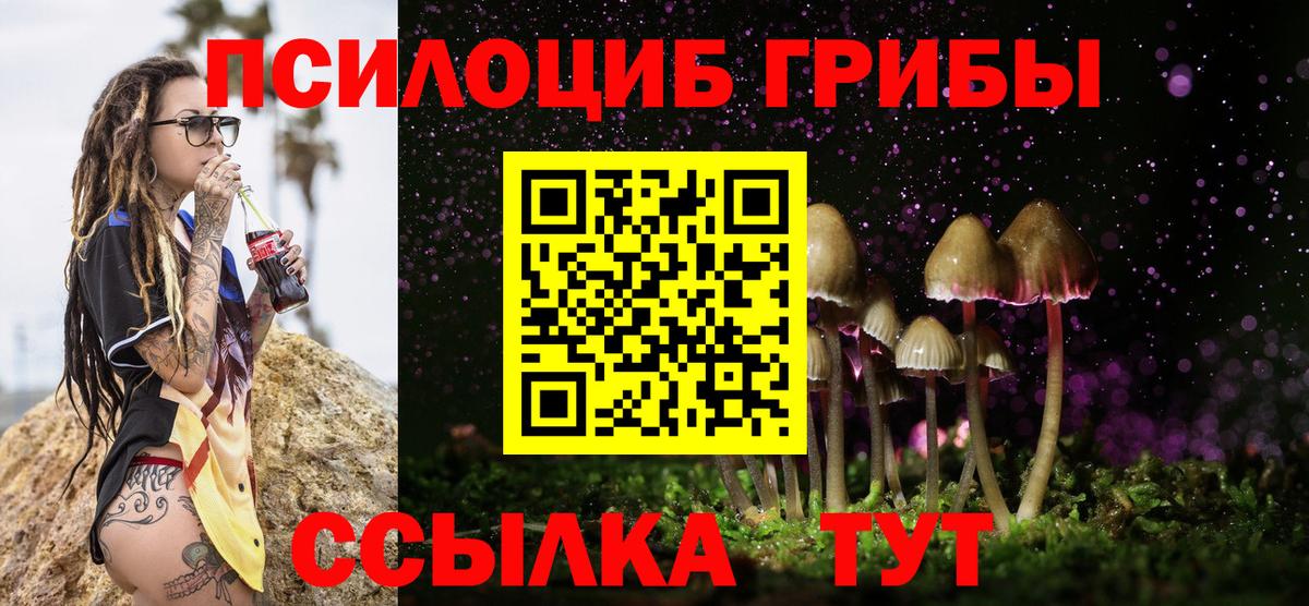где найти   Вход с VPN  Подольск  Галлюциногенные грибы мицелий 